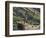 Wreck of the Bayard in Ocean Harbor, whaling station in South Georgia, colony of South Georgia Shag-Martin Zwick-Framed Photographic Print