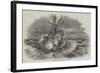 Wreck of the Pegasus-null-Framed Giclee Print