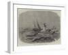 Wreck of the Steam-Ship Earl Percy at Tynemouth-null-Framed Giclee Print