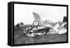 Wreckage of Aeroplane in Which British Pilot Flight-Lieutenant Warneford Was Killed, 1915-null-Framed Stretched Canvas