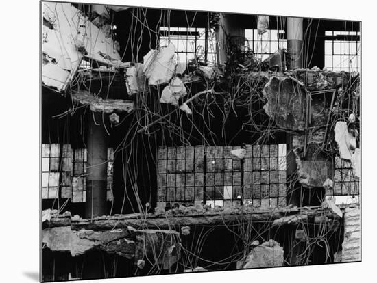 Wrecked Building and Windows, 1976-Brett Weston-Mounted Photographic Print