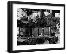 Wrecked Building and Windows, 1976-Brett Weston-Framed Premium Photographic Print