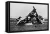 Wrecked German Biplane Photograph-Lantern Press-Framed Stretched Canvas