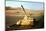 Wrecked Jordanian Tanks in Judean Hills-null-Mounted Photographic Print