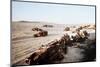 Wrecked Military Transports in the Desert-null-Mounted Photographic Print