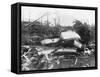 Wrecked Ships after Miami Hurricane-null-Framed Stretched Canvas