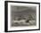 Wrecks on the Coast of Lapland, in the White Sea-null-Framed Giclee Print