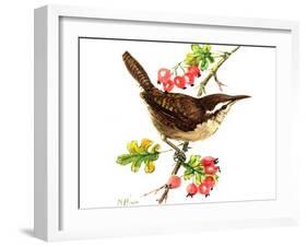 Wren and Rosehips-Nell Hill-Framed Giclee Print