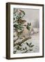 Wren in Hollybush by a cottage-Carl Donner-Framed Giclee Print