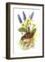 Wren in Primroses-Nell Hill-Framed Giclee Print