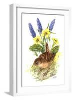 Wren in Primroses-Nell Hill-Framed Giclee Print