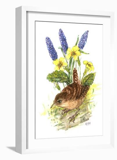 Wren in Primroses-Nell Hill-Framed Giclee Print