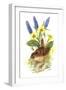 Wren in Primroses-Nell Hill-Framed Giclee Print