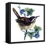 Wren in the Ivy-Nell Hill-Framed Stretched Canvas