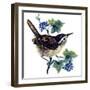 Wren in the Ivy-Nell Hill-Framed Giclee Print