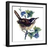 Wren in the Ivy-Nell Hill-Framed Giclee Print