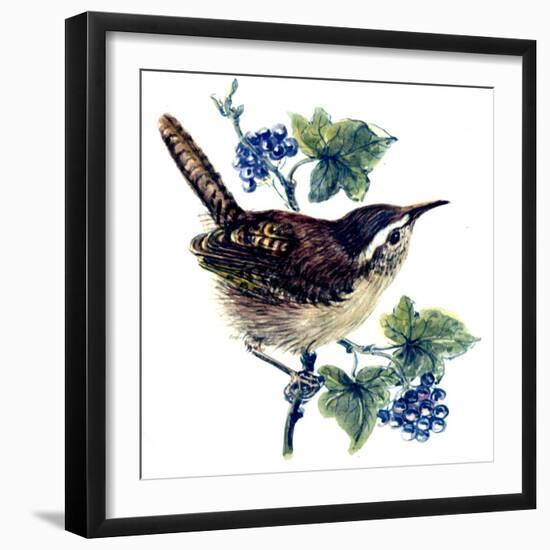 Wren in the Ivy-Nell Hill-Framed Giclee Print