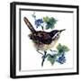 Wren in the Ivy-Nell Hill-Framed Giclee Print