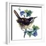 Wren in the Ivy-Nell Hill-Framed Giclee Print