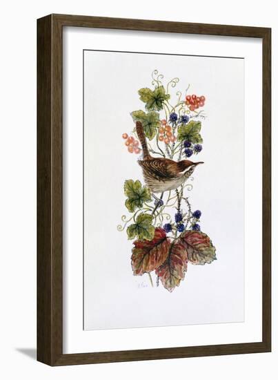 Wren on a Spray of Berries-Nell Hill-Framed Giclee Print