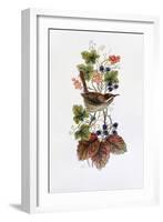 Wren on a Spray of Berries-Nell Hill-Framed Giclee Print