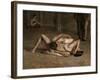 Wrestlers, 1899-Thomas Cowperthwait Eakins-Framed Giclee Print