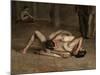 Wrestlers, 1899-Thomas Cowperthwait Eakins-Mounted Giclee Print