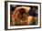 Wrestlers Wayne Wells and Ali Demirtas in Action at the Summer Olympics-Co Rentmeester-Framed Photographic Print