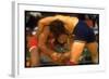 Wrestlers Wayne Wells and Ali Demirtas in Action at the Summer Olympics-Co Rentmeester-Framed Photographic Print