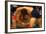 Wrestlers Wayne Wells and Ali Demirtas in Action at the Summer Olympics-Co Rentmeester-Framed Photographic Print