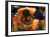 Wrestlers Wayne Wells and Ali Demirtas in Action at the Summer Olympics-Co Rentmeester-Framed Photographic Print