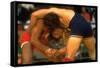 Wrestlers Wayne Wells and Ali Demirtas in Action at the Summer Olympics-Co Rentmeester-Framed Stretched Canvas