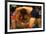 Wrestlers Wayne Wells and Ali Demirtas in Action at the Summer Olympics-Co Rentmeester-Framed Photographic Print