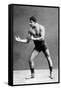 Wrestling Ready Stance-null-Framed Stretched Canvas