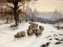 A Shepherd and His Flock on a Path in Winter-Wright Barker-Giclee Print
