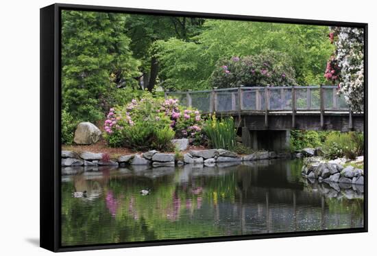 Wright Park, Tacoma, Washington State, United States of America, North America-Richard Cummins-Framed Stretched Canvas