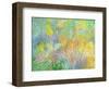 Wrights Woods No. 3-Marsha Heller-Framed Art Print