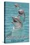 Wrightsville Beach, North Carolina - Dolphins-Lantern Press-Stretched Canvas