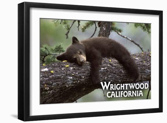 Wrightwood, California - Black Bear in Tree-Lantern Press-Framed Art Print