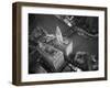 Wrigley Building in South Chicago. 1951-Margaret Bourke-White-Framed Photographic Print