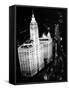 Wrigley Building-null-Framed Stretched Canvas