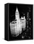 Wrigley Building-null-Framed Stretched Canvas