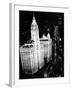 Wrigley Building-null-Framed Photographic Print