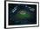 Wrigley Field from Overhead-null-Framed Photographic Print