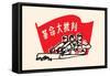 Write and You Will Crush Capitalism-Chinese Government-Framed Stretched Canvas