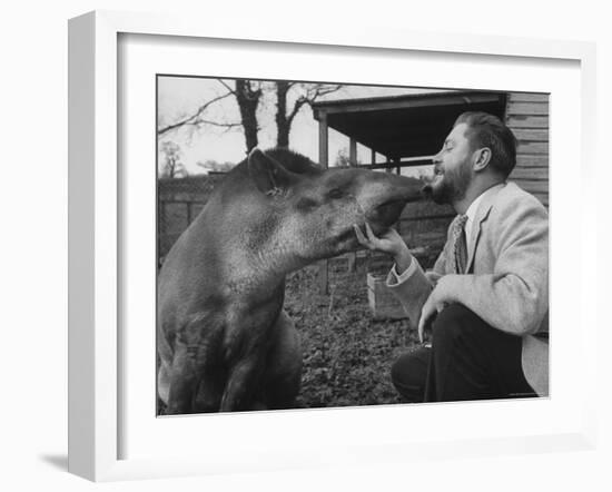 Writer/Naturalist Gerald Durrell Petting South American Tapir in His Private Zoo on Isle of Jersey-Loomis Dean-Framed Photographic Print