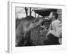 Writer/Naturalist Gerald Durrell Petting South American Tapir in His Private Zoo on Isle of Jersey-Loomis Dean-Framed Photographic Print