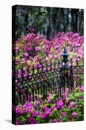 Wrought Iron fence and azaleas in full bloom, Bonaventure Cemetery, Georgia-Adam Jones-Stretched Canvas