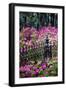 Wrought Iron fence and azaleas in full bloom, Bonaventure Cemetery, Georgia-Adam Jones-Framed Photographic Print