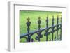 Wrought Iron Fence, State Capitol Building, Austin, Texas, Usa-Lisa S. Engelbrecht-Framed Photographic Print